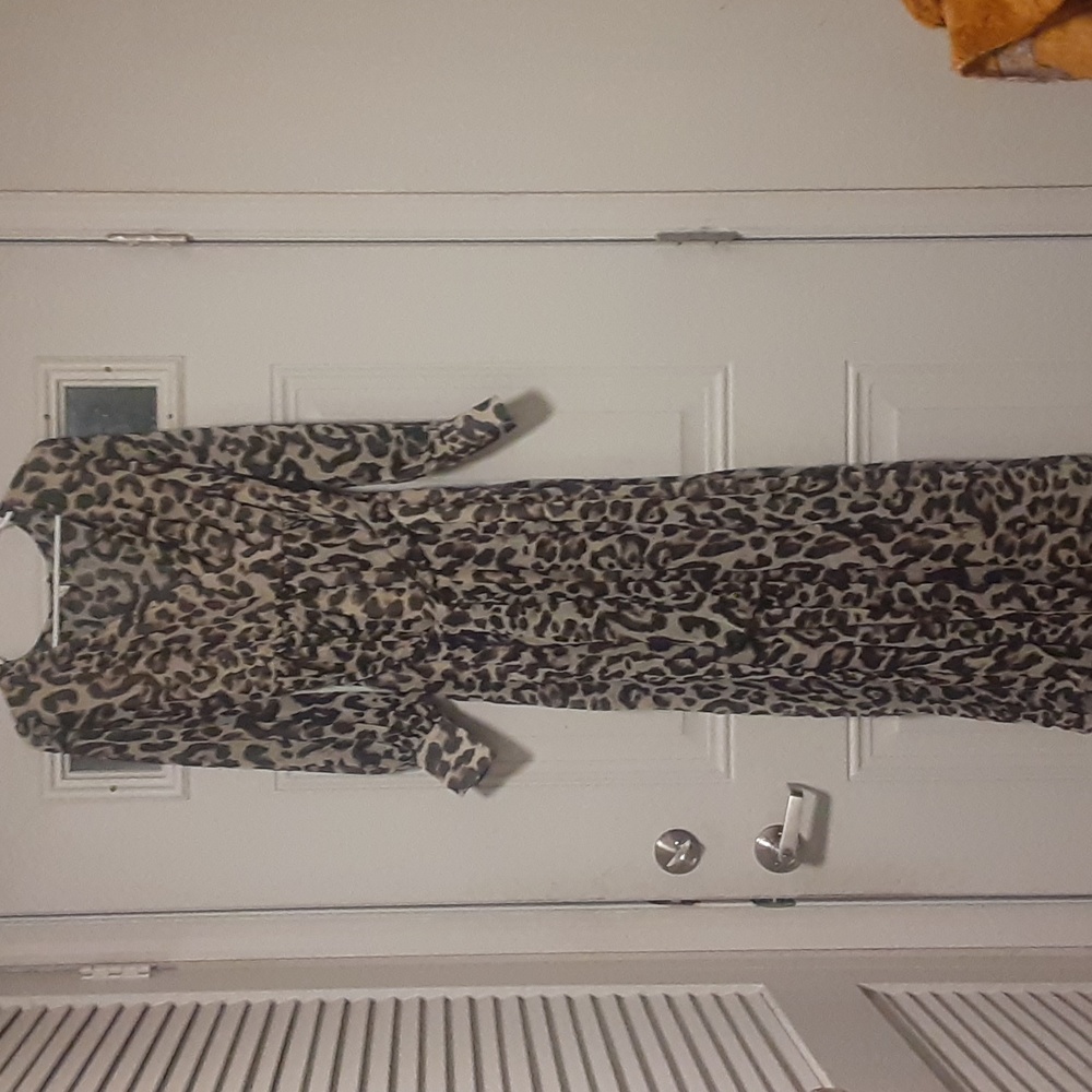 Cheetah see through